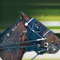 Dover downs slots